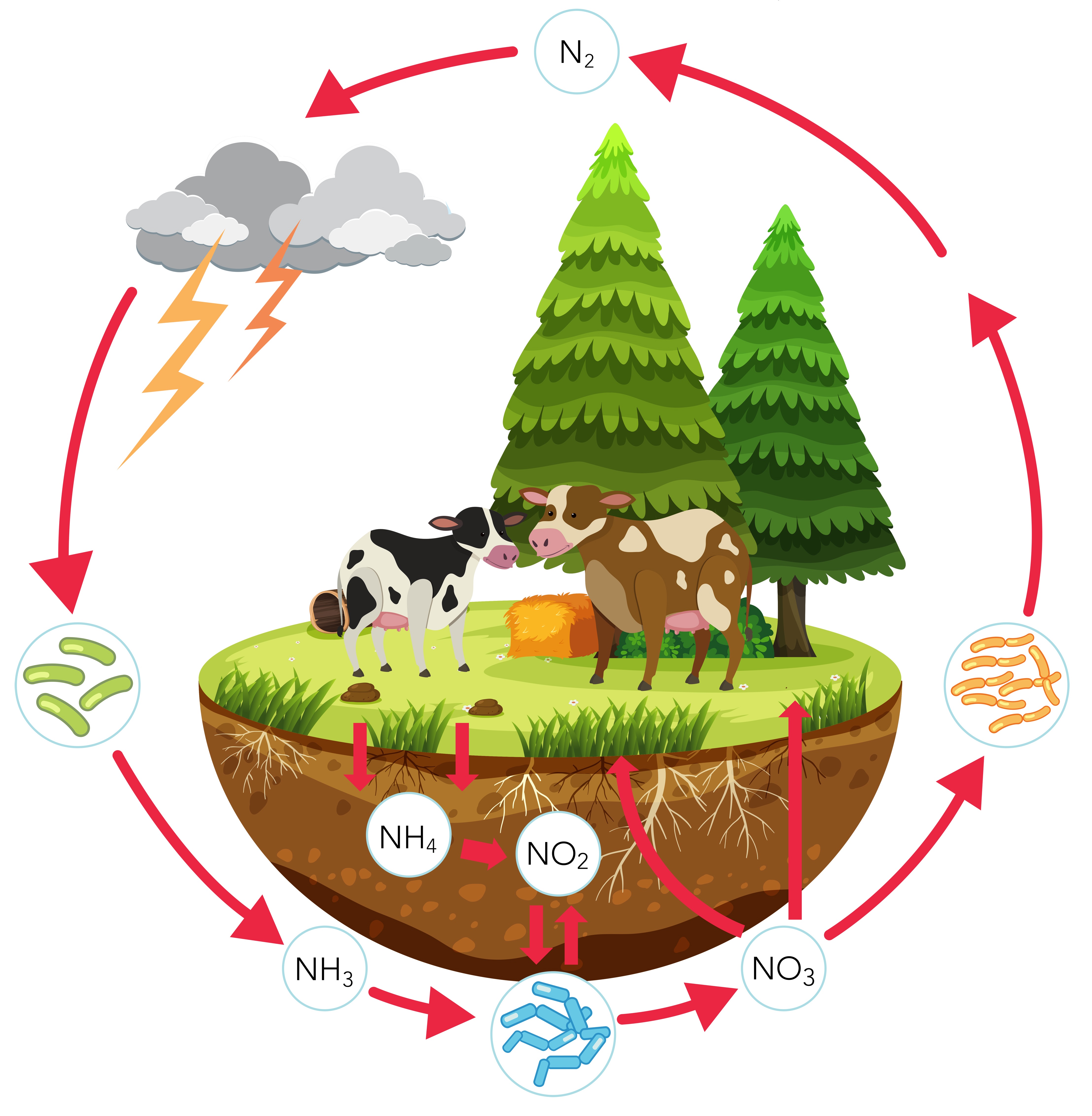 Environmental Benefits (And Impact) Of Producing And Using Nitrogen Gas Environmental Benefits (And Impact) Of Producing And Using Nitrogen Gas