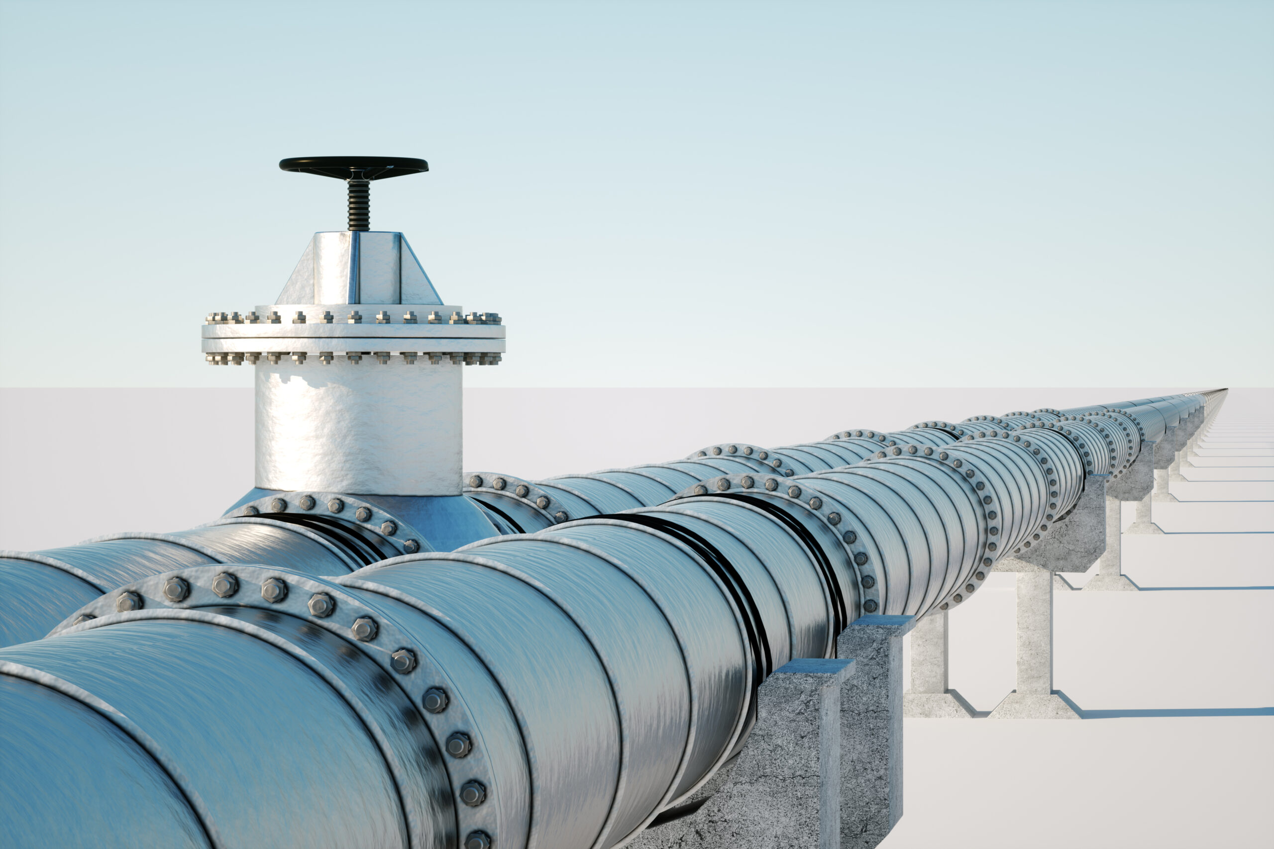 The Types of Nitrogen Purging Systems The Types of Nitrogen Purging Systems